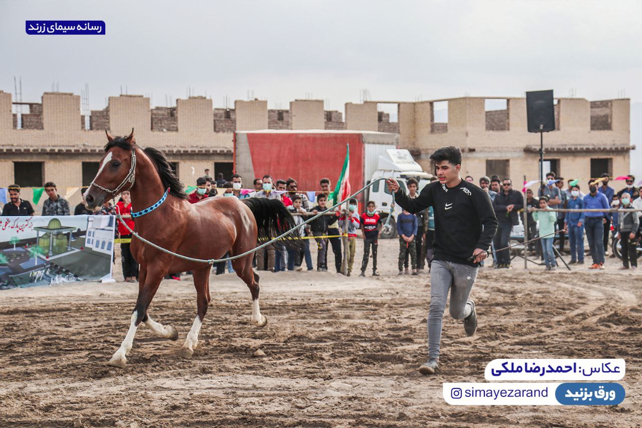 برگزاری همایش سوارکاری در یزدانشهر