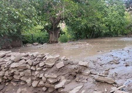 آبگرفتگی منازل روستایی و مسدود شدن راه ارتباطی هفت روستا بر اثر بارندگی در زرند