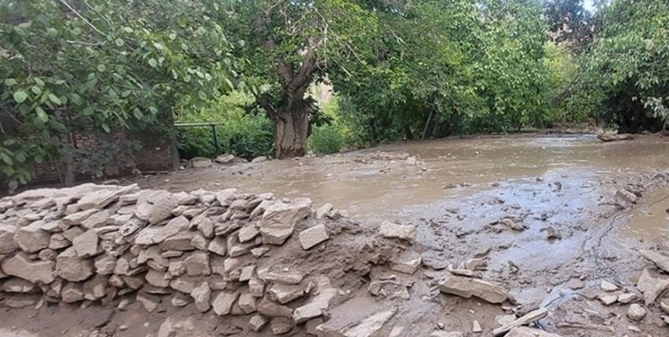 آبگرفتگی منازل روستایی و مسدود شدن راه ارتباطی هفت روستا بر اثر بارندگی در زرند