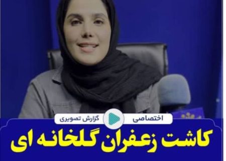 کاشت زعفران گلخانه ای در زرند